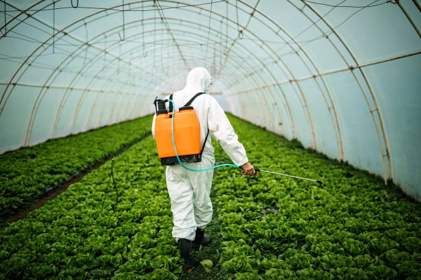 Best Pest Inspection Near Me  in Wimberley, TX