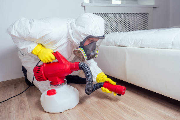 Best Exterminator Services  in Wimberley, TX