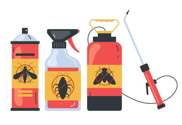 Best Rat Extermination Near Me  in Wimberley, TX